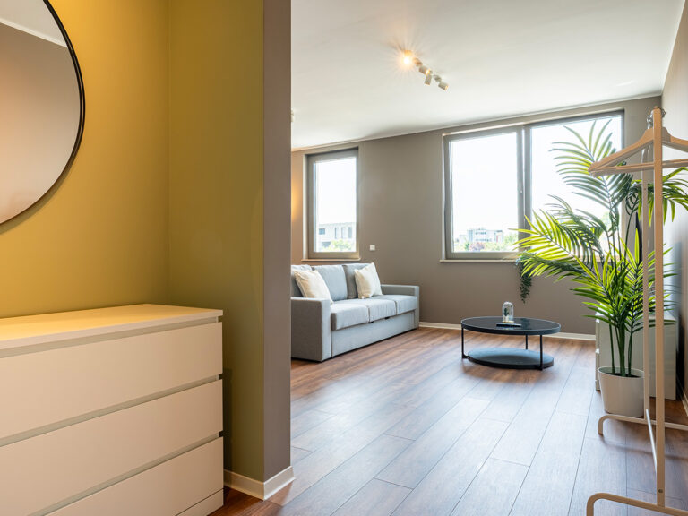 Eingangsbereich in Apartment 8 mit Kommode und Spiegel, im Hintergrund öffnet sich der Wohnbereich mit Couch und Couchtisch.
