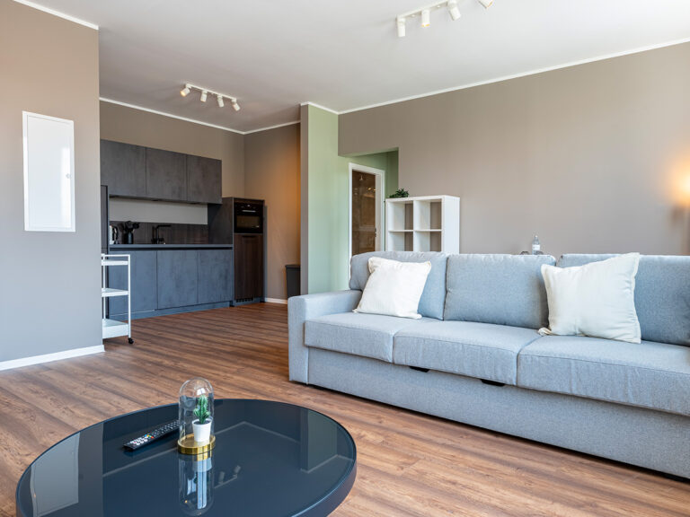 Wohnbereich in Apartment 8 mit schwarzem Couchtisch und grauer Couch, im Hintergrund Küchenecke.
