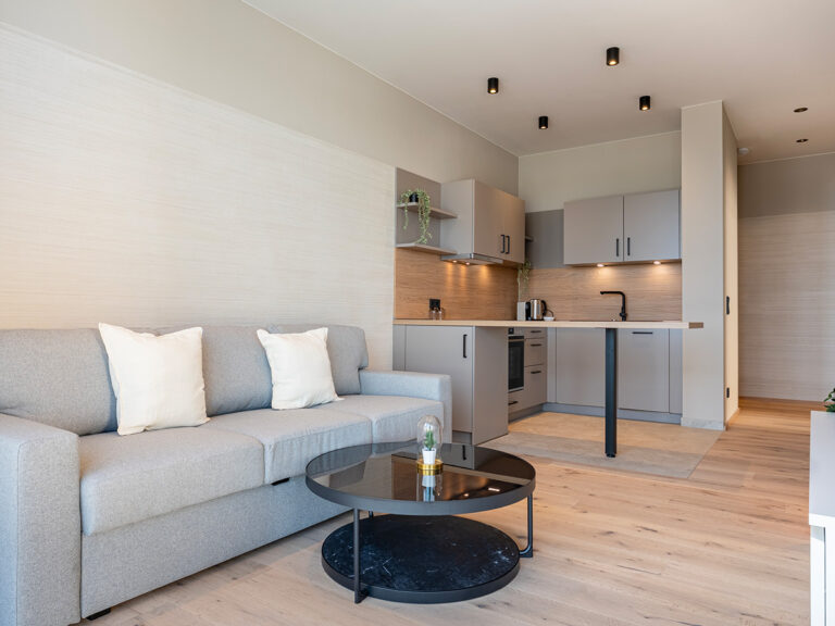 Wohnzimmer in Apartment 3 in Haus 8: Holzfußboden, graue Couch, schwarzer Couchtisch, im Hintergrund Küchenecke mit grauen Fronten.