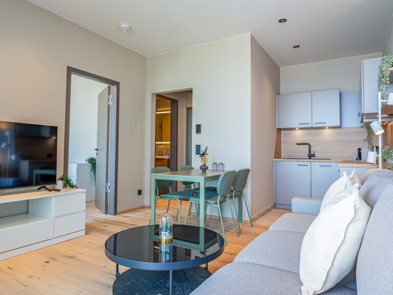 Wohnzimmer in Apartment 4 in Haus 8: Holzfußboden, graue Couch, weißer Schrank mit Flachbild-TV, im Hintergrund Sitzgruppe und offene Küche.